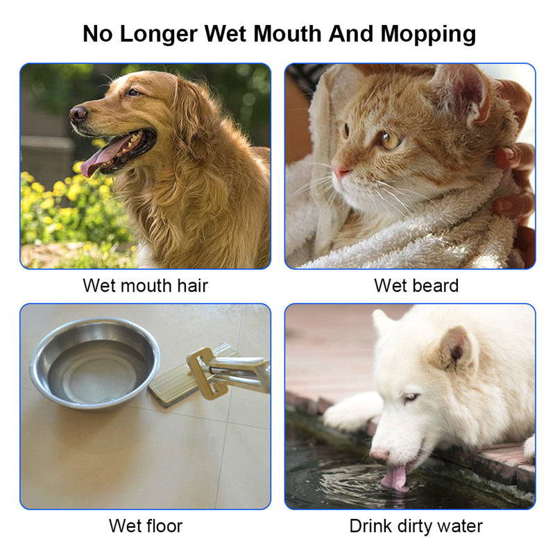 Portable pet water bowl - Dog travel water bowl - Cat travel water bowl - Water bowl for pets