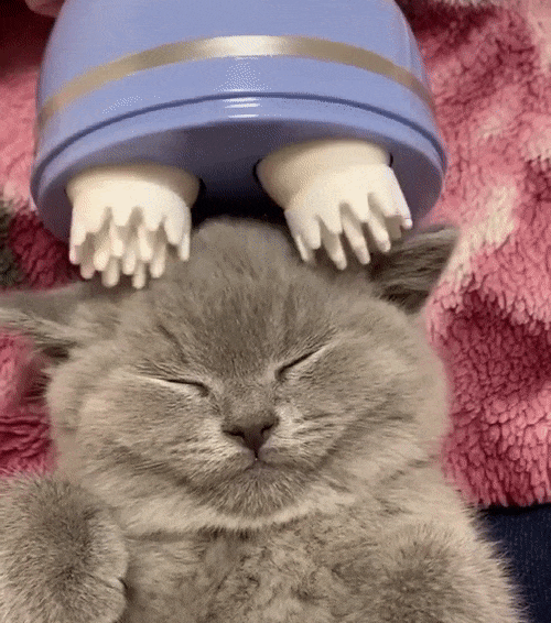 Electric Cat Massager for Relaxation, Handheld Pet Massage Tool for Cats & Dogs, Quiet & Rechargeable