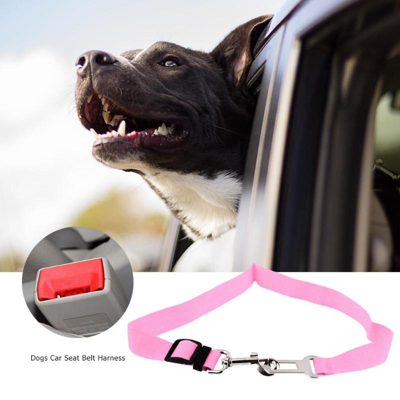 Pet Car Seat Belt for Dogs & Cats, Adjustable Safety Harness, Travel Seatbelt, Durable & Secure