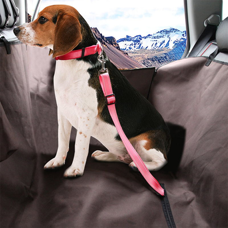 Pet Car Seat Belt for Dogs & Cats, Adjustable Safety Harness, Travel Seatbelt, Durable & Secure