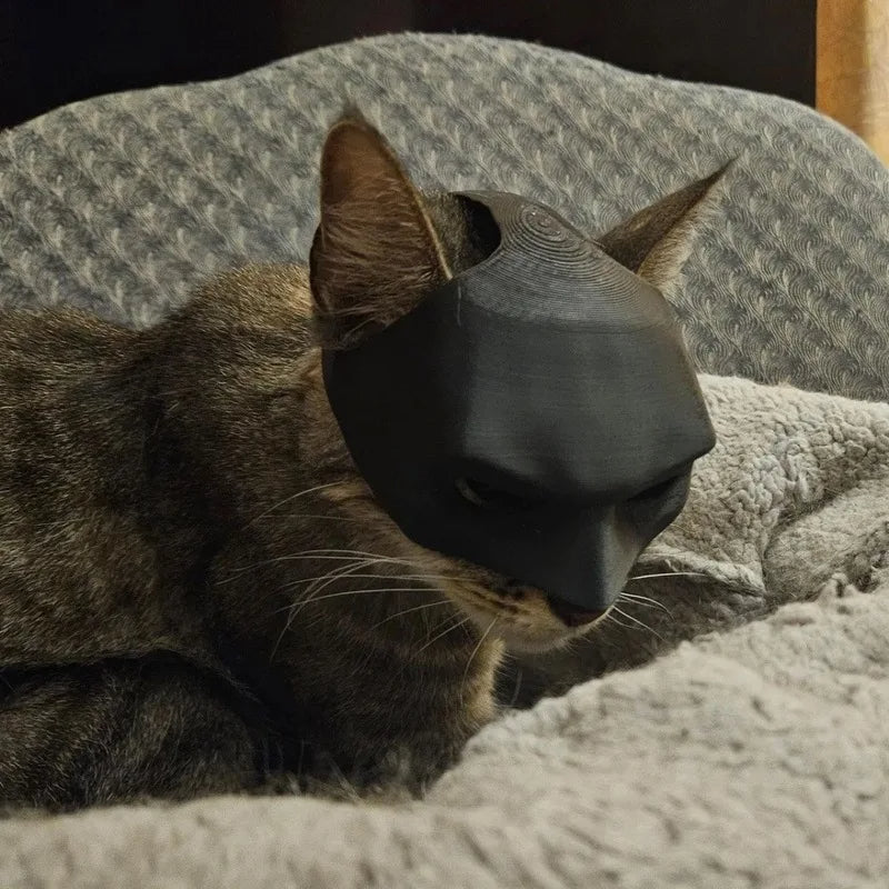 Cat Bat Mask for Kids & Adults – Halloween Costume Accessory, Soft & Lightweight Cosplay Party Mask