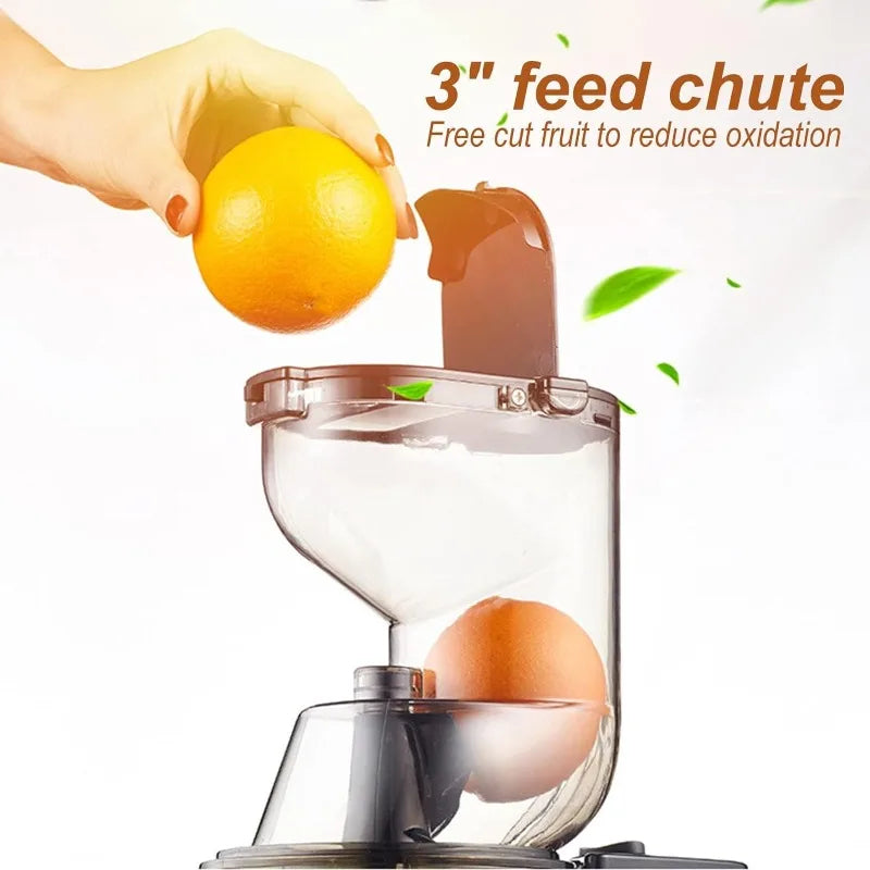OverTwice Slow Masticating Juicer Cold Press Juice Extractor for Fruit Vegetables juicer