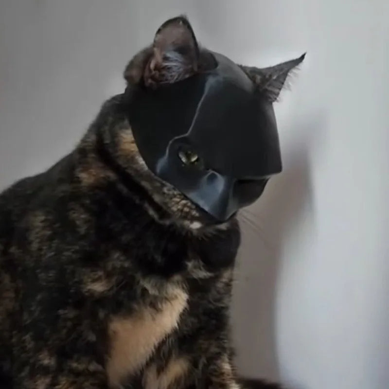 Cat Bat Mask for Kids & Adults – Halloween Costume Accessory, Soft & Lightweight Cosplay Party Mask