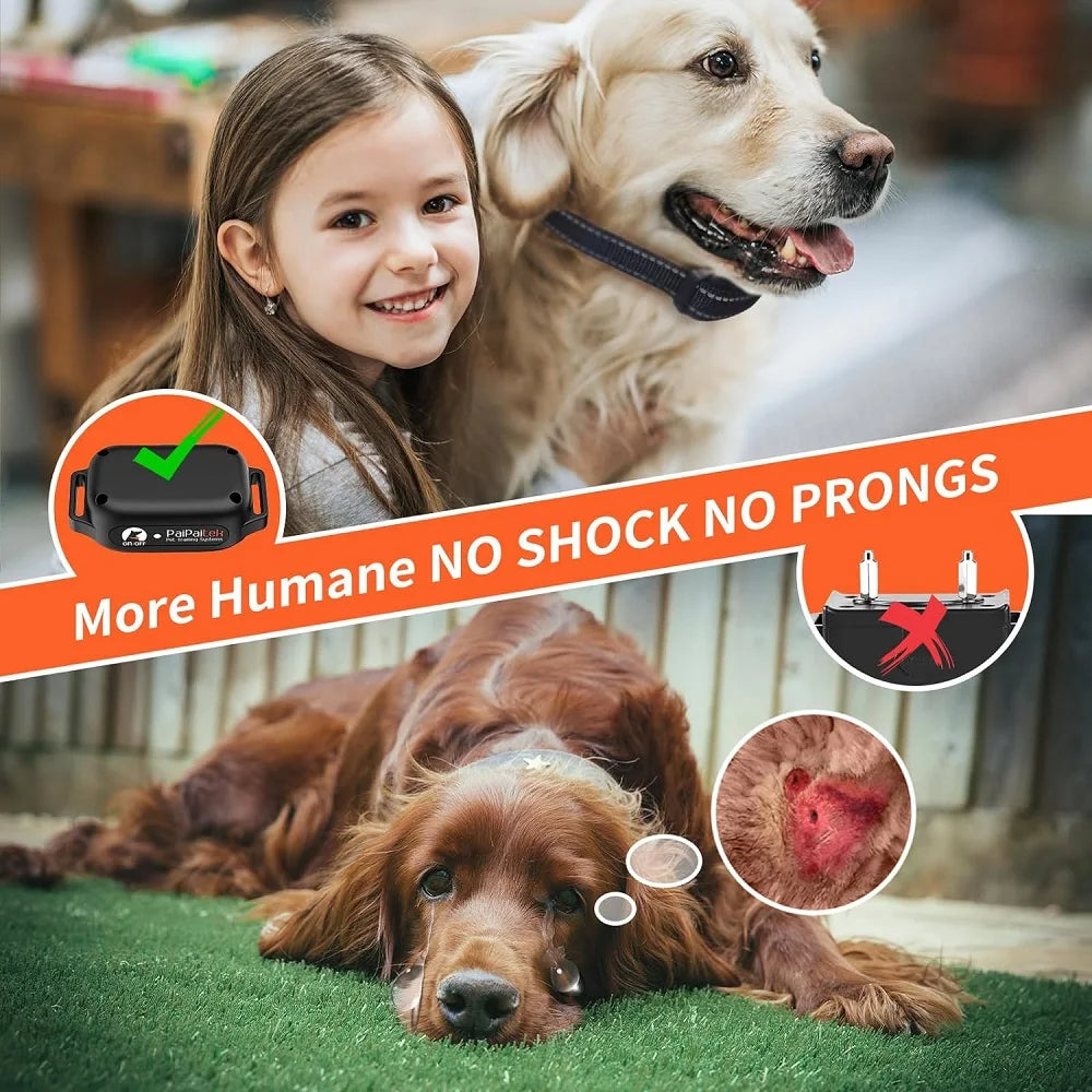 Dog Training Collar - Best Collar with Remote Control