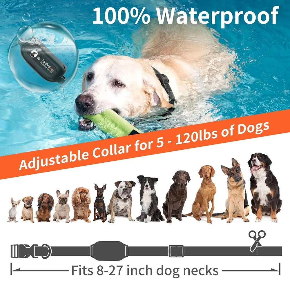 Dog Training Collar - Best Collar with Remote Control