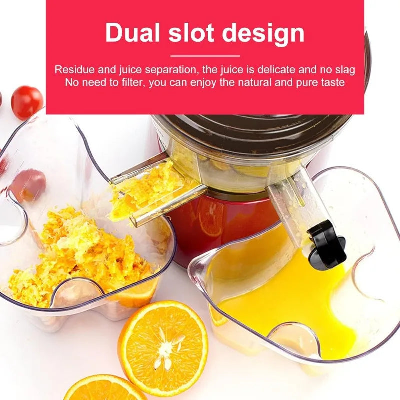 OverTwice Slow Masticating Juicer Cold Press Juice Extractor for Fruit Vegetables juicer
