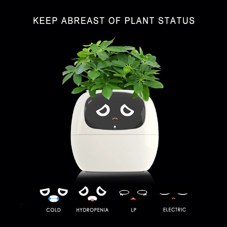 Smart Small Flower Pot Flower Pot Ivy Desktop Green Plant vase for quіtіa