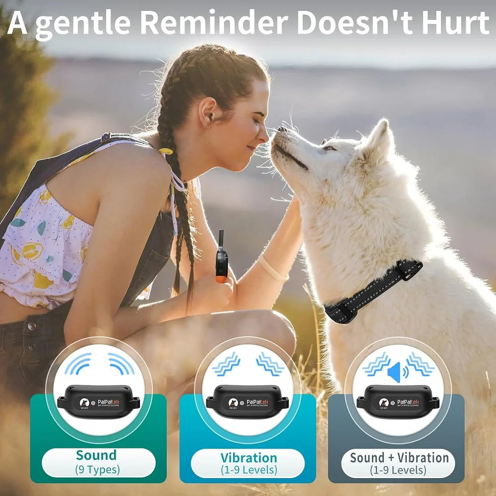 Dog Training Collar - Best Collar with Remote Control