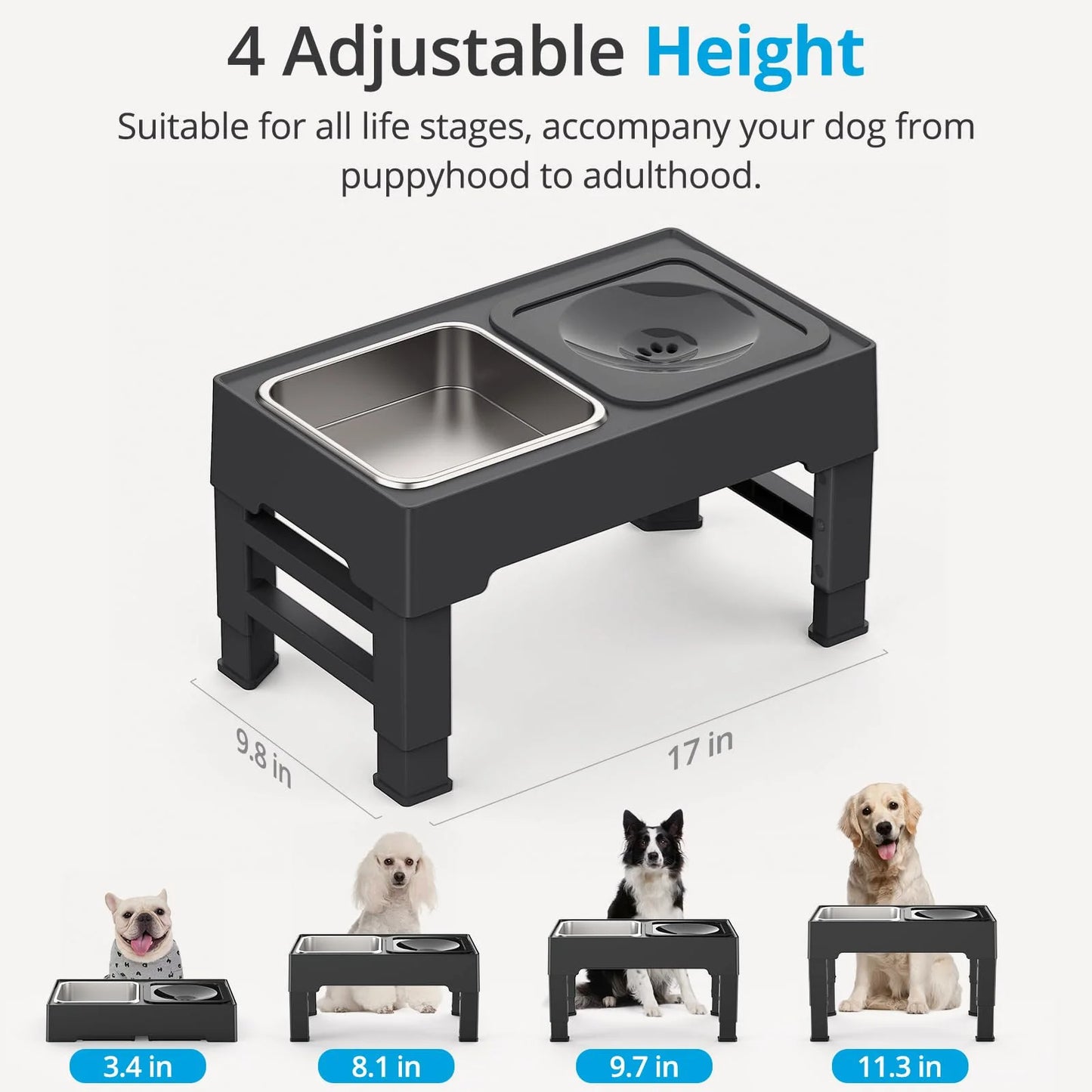 Elevated Mess-Free Dog Bowl Pet Fusion Elevated Dog Bowls in Premium Anodized Aluminum Stand