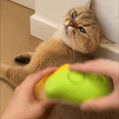 3 In1 Cat Steam Brush, Self Cleaning Steam Cat Brush, Multifunctional Cat Steamer Brush, For Removing Tangled and Loosse Hair