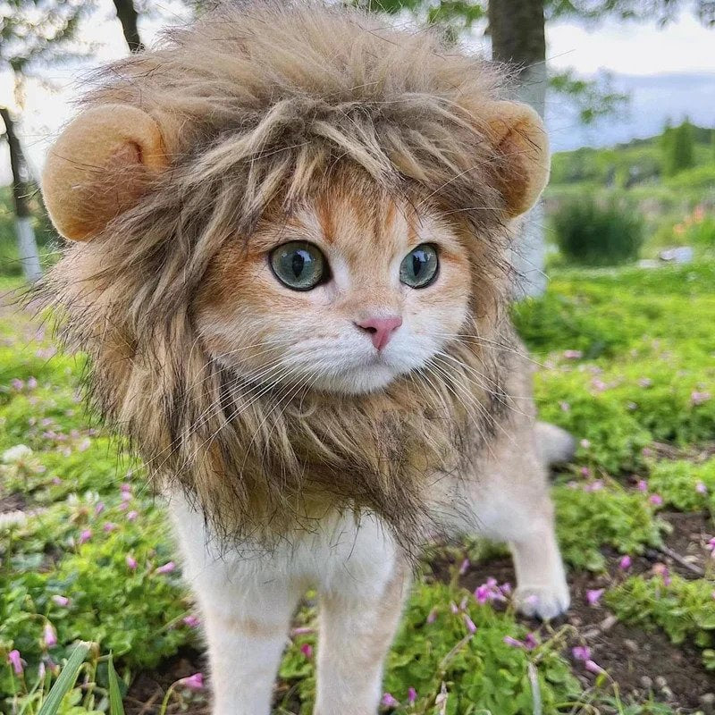 Lion Mane Wig, Funny Pet Cat Costumes for Halloween Christmas, Furry Pet Clothing Accessories Fits Neck
