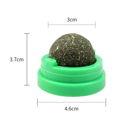 Catnip Balls - Cat Feed Ball - Pet Supllies