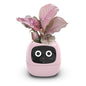 Smart Small Flower Pot Flower Pot Ivy Desktop Green Plant vase for quіtіa
