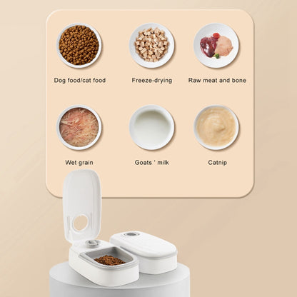 Smart Auto Pet Feeder - Timer Food Dispenser for Cats & Dogs - Stainless Steel Bowl - Pet Supplies