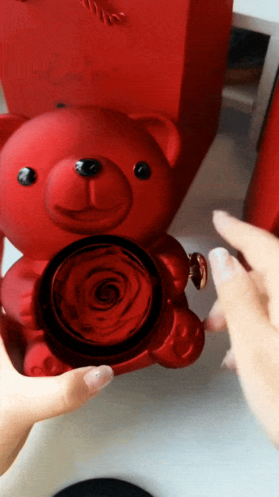 Eternal Rose Teddy Bear Gift with Necklace – Romantic Valentine’s Day Anniversary Gift for Her