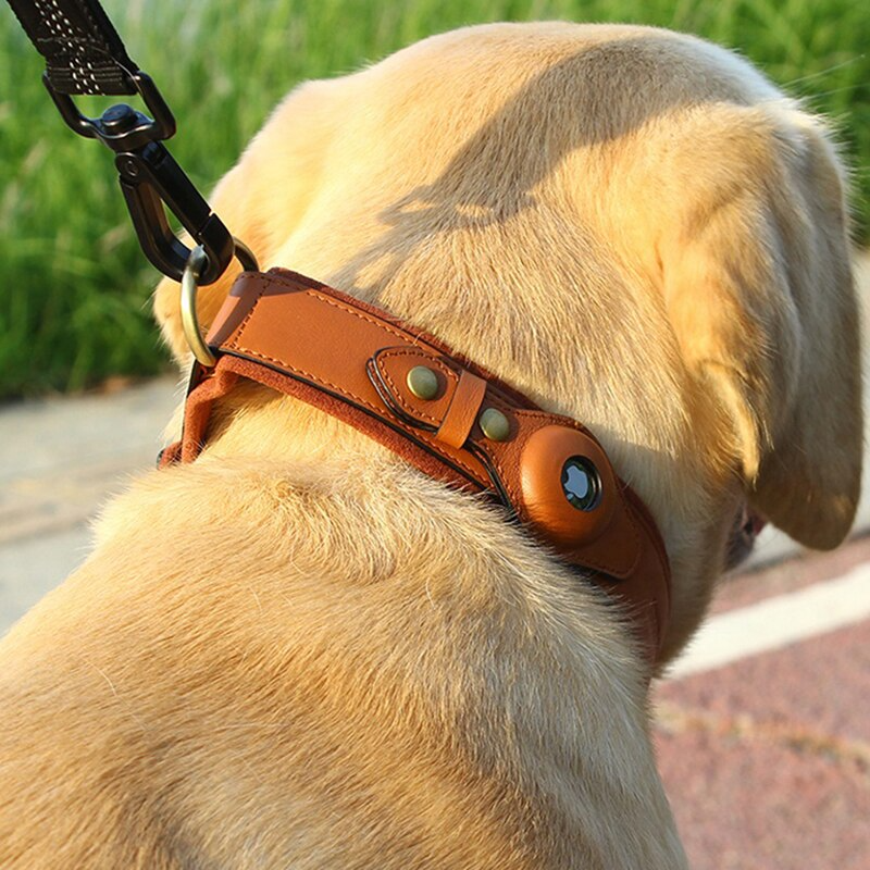 Premium Leather AirTag Dog Collar – Adjustable Pet Tracker Collar with Built-in AirTag Holder for Dogs
