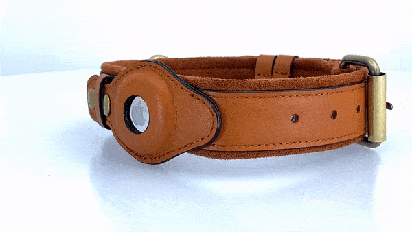 Premium Leather AirTag Dog Collar – Adjustable Pet Tracker Collar with Built-in AirTag Holder for Dogs