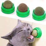 Catnip Balls - Cat Feed Ball - Pet Supllies