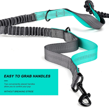 Hands Free Dog Walking Belt with Bungee Lead and Waste Bag Pouch