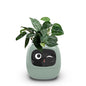 Smart Small Flower Pot Flower Pot Ivy Desktop Green Plant vase for quіtіa