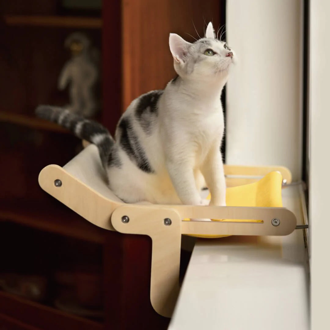 Sturdy Hanging Cat Bed - DIY Hanging Cat Bed - sturdy cat bed - cozy cat bed - cat hammock