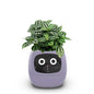 Smart Small Flower Pot Flower Pot Ivy Desktop Green Plant vase for quіtіa