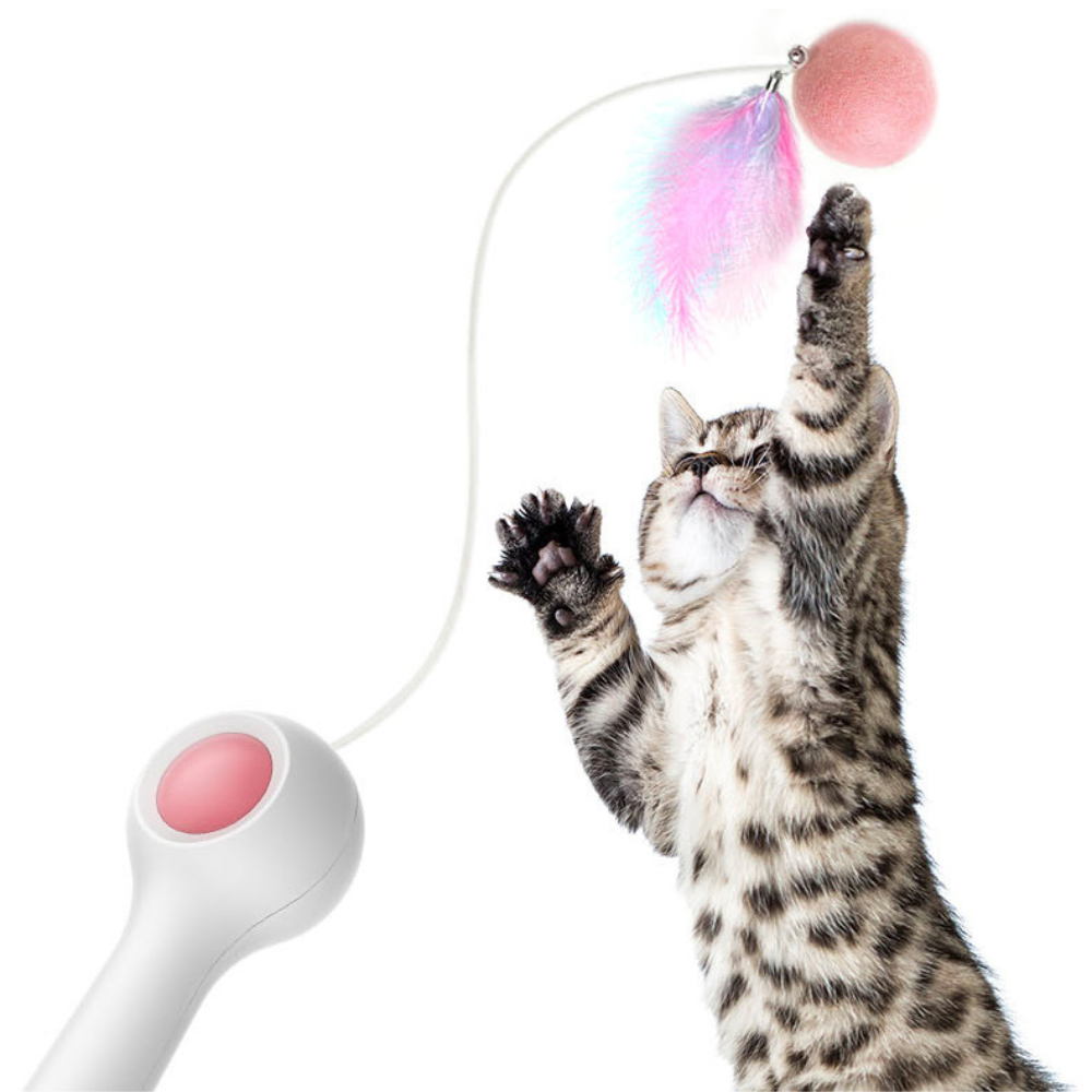 Cat Retractable Stick Feather Toy for All Breed Sizes